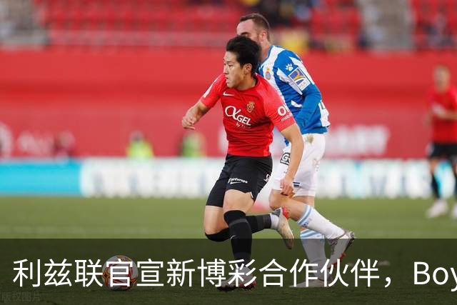利兹联官宣新博彩合作伙伴，Boyle Sports品牌将重返英超赛场