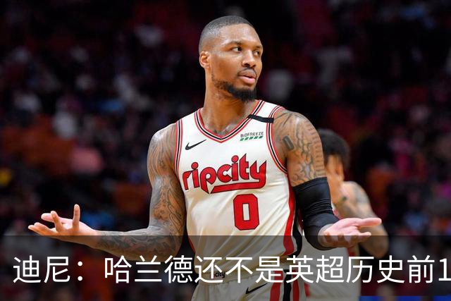 迪尼：哈兰德还不是英超历史前10前锋，新赛季看他对抗加布很有趣